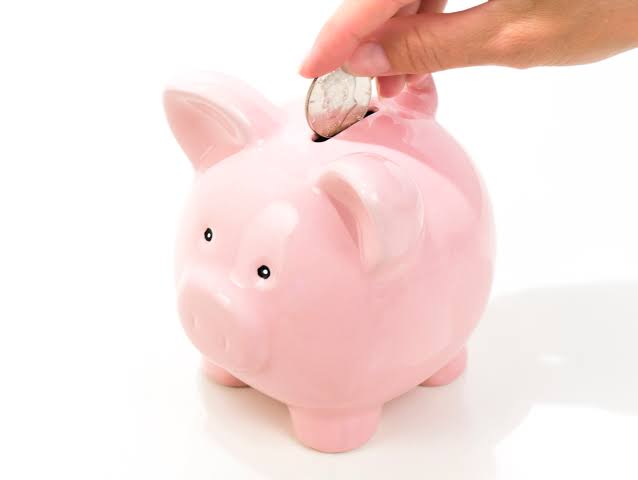 pet insurance vs savings account - which protects vet bills