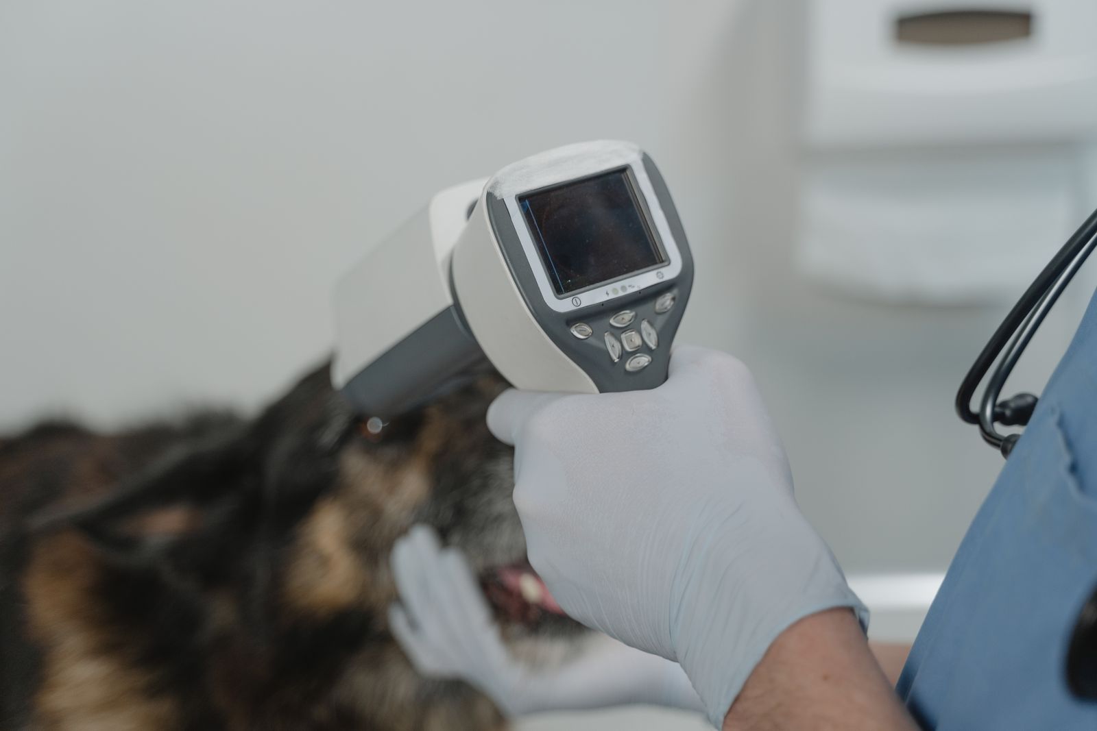 A veterinarian using diagnostic equipment to examine a dog, the kind of appointment that can lead to a costly surgery recommendation.