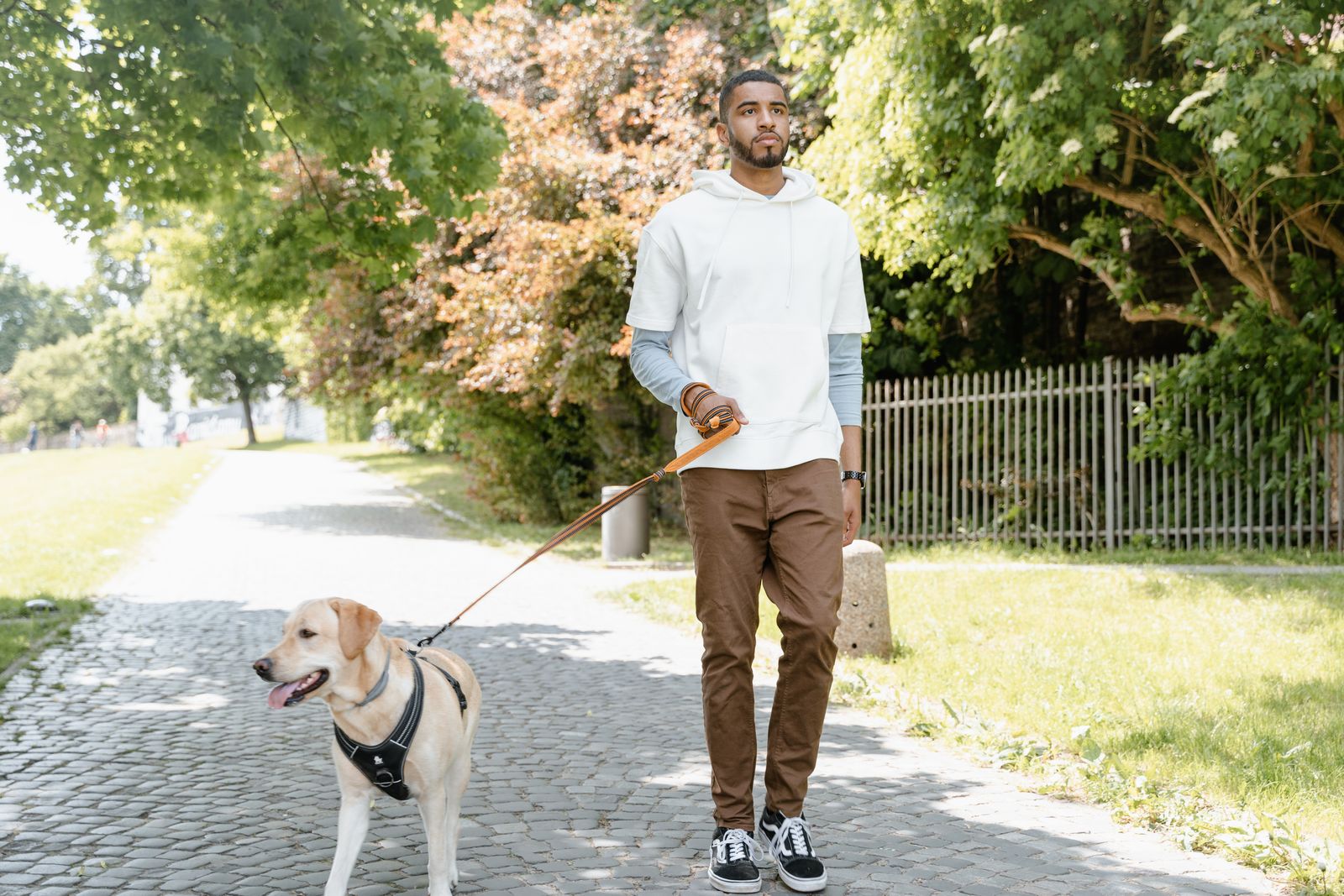 A man walking his Labrador Retriever, a large breed, along an outdoor path